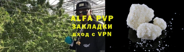 прущие грибы Киреевск