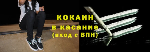 прущие грибы Киреевск