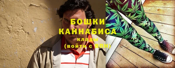 прущие грибы Киреевск