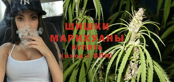 прущие грибы Киреевск