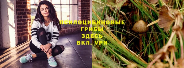 прущие грибы Киреевск