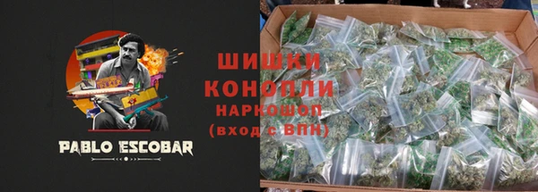 прущие грибы Киреевск